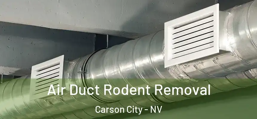  Air Duct Rodent Removal Carson City - NV