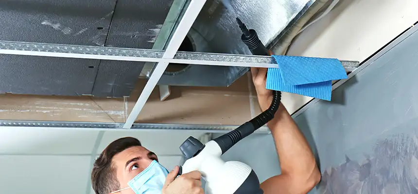 Our Air Duct Rodent Removal Services in Carson City, NV