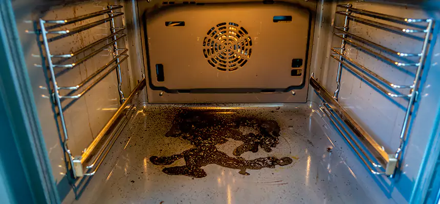 Our Dryer Vent Mold Cleaning Services in Carson City, NV