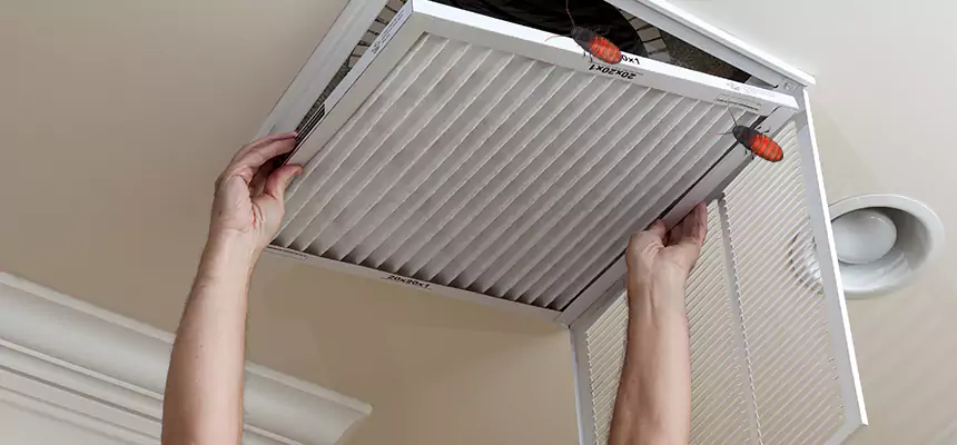 Our Insect Removal from Air Ducts Services in Carson City, NV