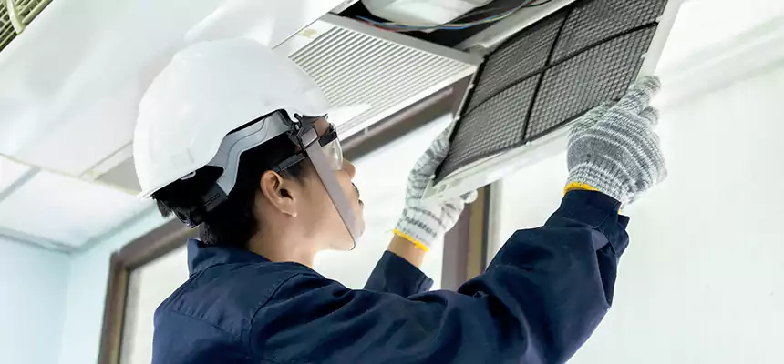 Our Mold & Mildew Removal from Air Ducts Services in Carson City, NV