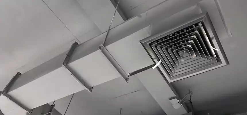 Our Pest Removal From Ducts Services in Carson City, NV