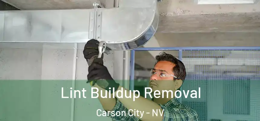  Lint Buildup Removal Carson City - NV