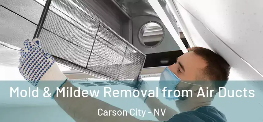  Mold & Mildew Removal from Air Ducts Carson City - NV