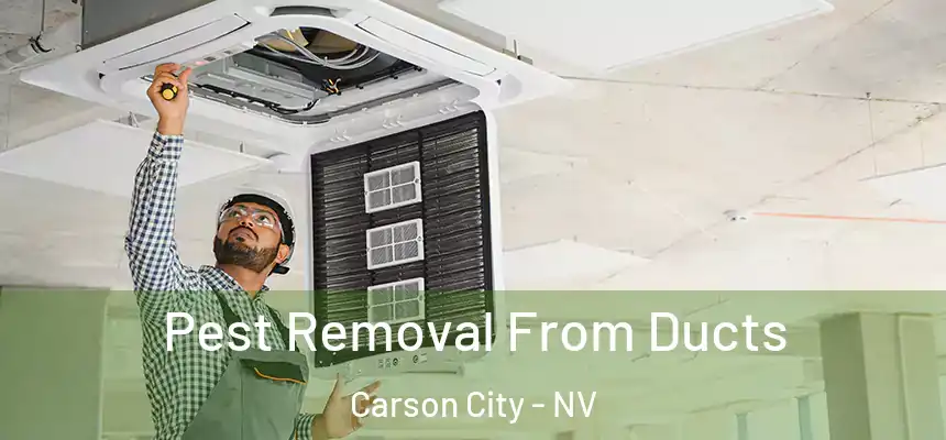  Pest Removal From Ducts Carson City - NV