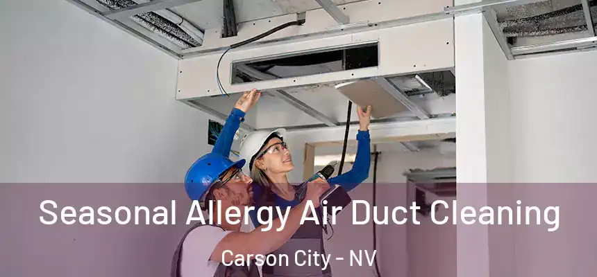  Seasonal Allergy Air Duct Cleaning Carson City - NV