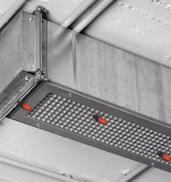 About Air Duct Cockroach Removal in Carson City, NV