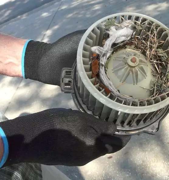 About Air Duct Mice Removal in Carson City, NV