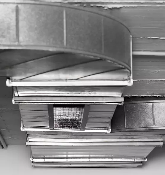 Professional Air Duct Pet Hair Removal in Carson City, NV