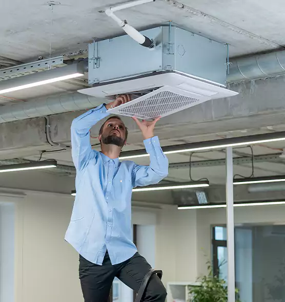 Advanced Rodent Droppings In Vents in Carson City, NV
