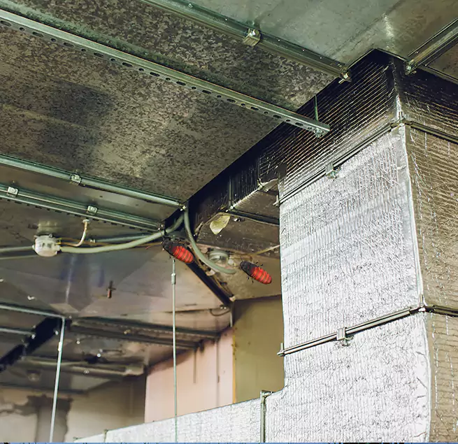 Why Homeowners & Businesses Trust Us in Carson City, NV?