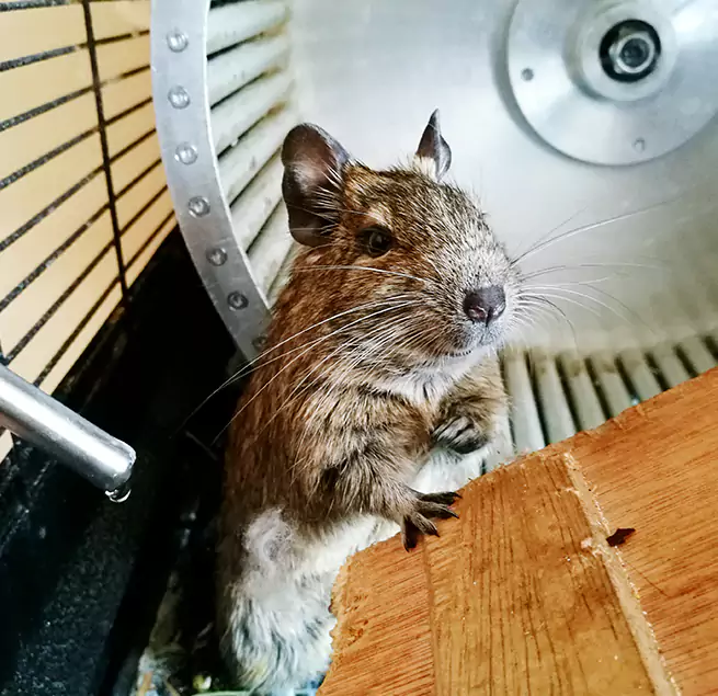 Why Homeowners & Businesses Trust Us Carson City, NV